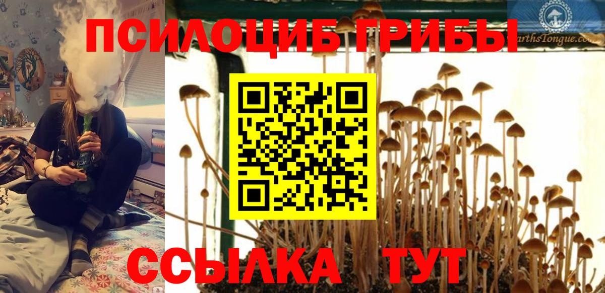 Псилоцибиновые грибы прущие грибы  Галлюциногенные грибы прущие грибы  Вход с VPN  Маркс 